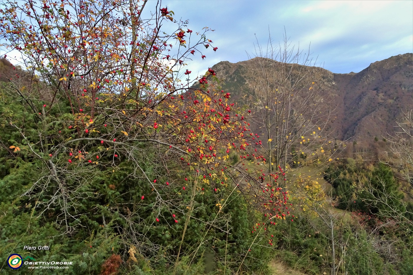 95 Vista in Venturosa con i colori delle rosse bacche della rosa canina.JPG